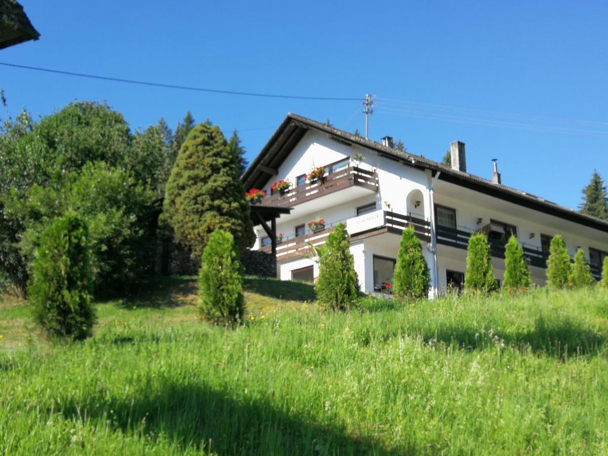 Ferienhaus Enzquelle Enzklösterle Zewnętrze zdjęcie