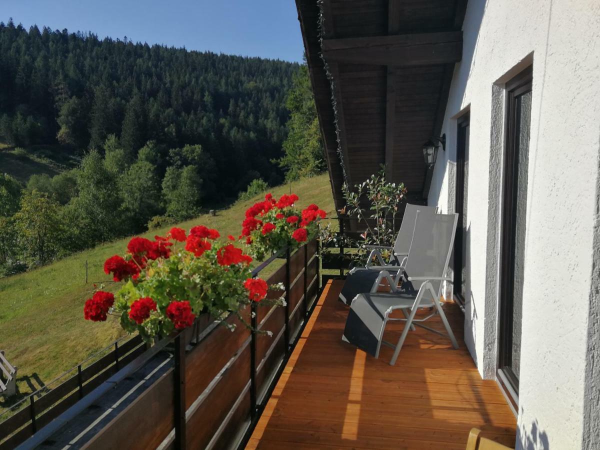 Ferienhaus Enzquelle Enzklösterle Zewnętrze zdjęcie