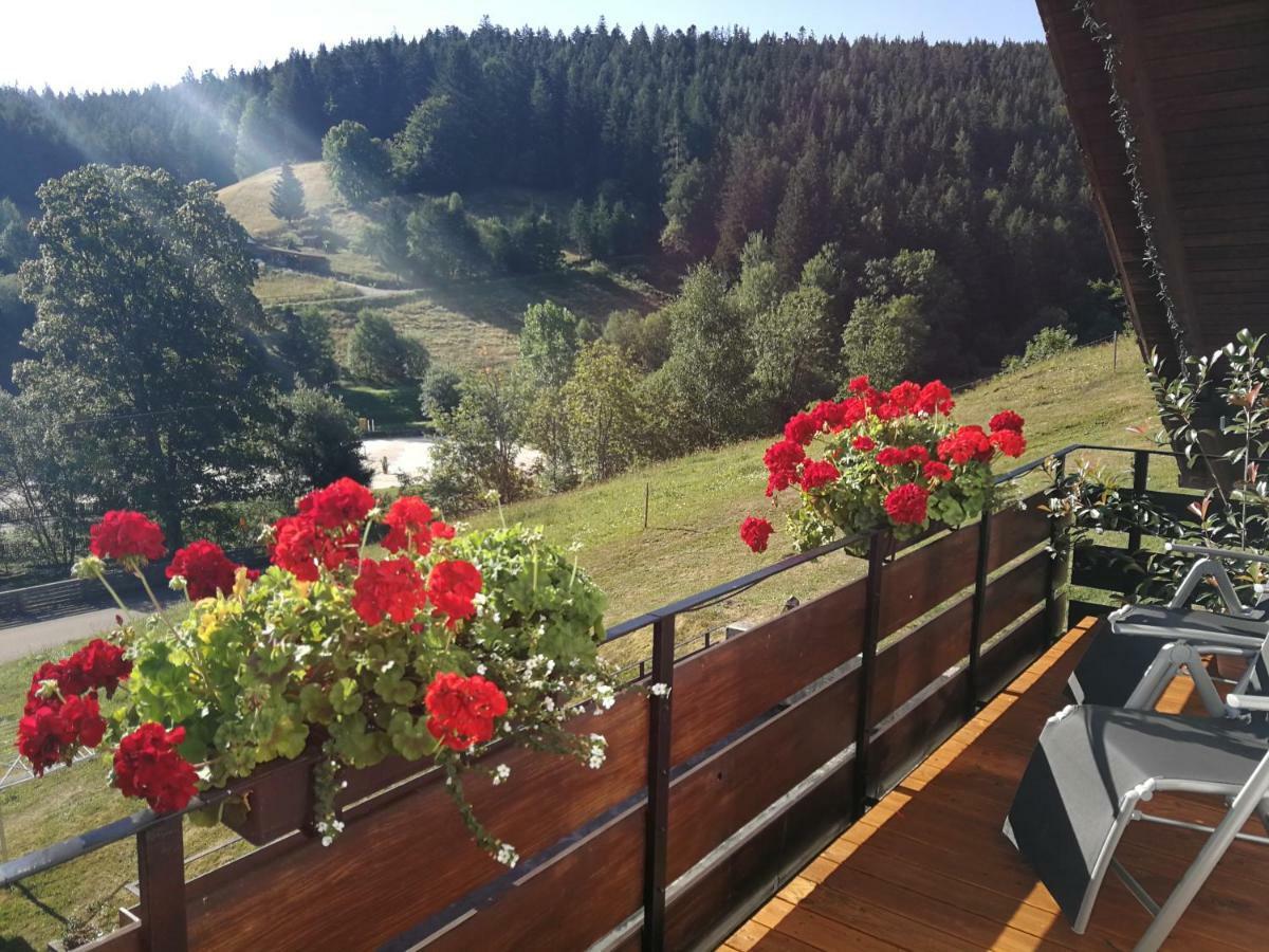 Ferienhaus Enzquelle Enzklösterle Zewnętrze zdjęcie